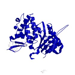 Image of CATH 4pgy