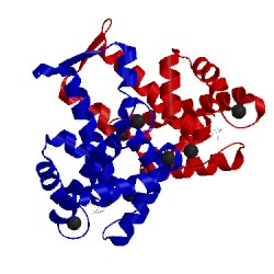 Image of CATH 4phk