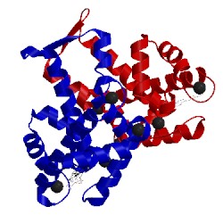 Image of CATH 4phm