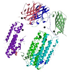 Image of CATH 4phz