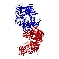 Image of CATH 4pj6
