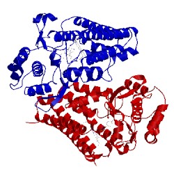 Image of CATH 4pk6