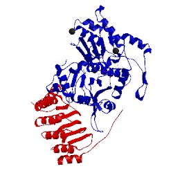 Image of CATH 4pki