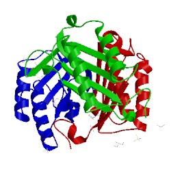 Image of CATH 4pkk