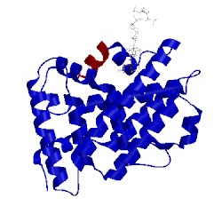 Image of CATH 4pld