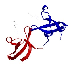Image of CATH 4pli