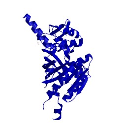 Image of CATH 4poa