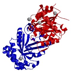 Image of CATH 4poc