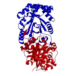 Image of CATH 4pod