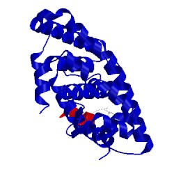 Image of CATH 4poh