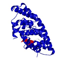 Image of CATH 4pp3