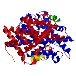 Image of CATH 4pp6