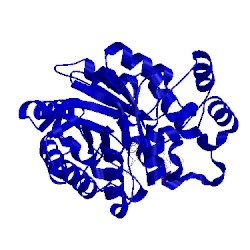 Image of CATH 4prt