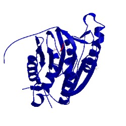 Image of CATH 4prz
