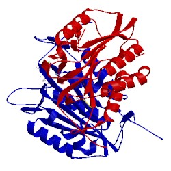 Image of CATH 4ps0