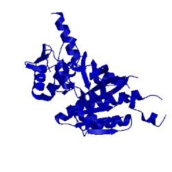 Image of CATH 4psk