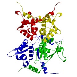 Image of CATH 4pt7