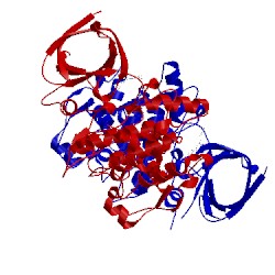 Image of CATH 4pte