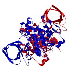 Image of CATH 4ptg