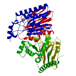 Image of CATH 4pu6