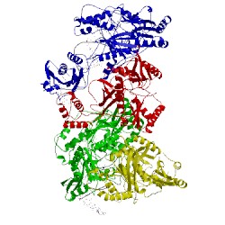 Image of CATH 4puo