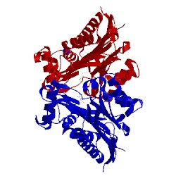 Image of CATH 4pvs