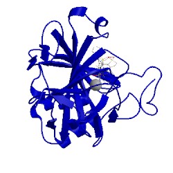 Image of CATH 4pyy