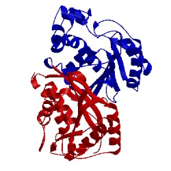 Image of CATH 4pz9