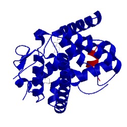 Image of CATH 4q0a