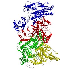 Image of CATH 4q0b