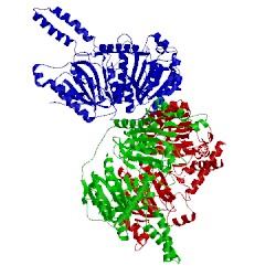 Image of CATH 4q0g