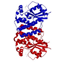 Image of CATH 4q19