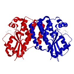 Image of CATH 4q1d