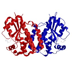 Image of CATH 4q1f