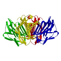 Image of CATH 4q26