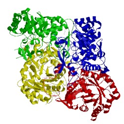 Image of CATH 4q32