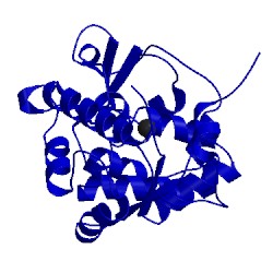 Image of CATH 4q3y