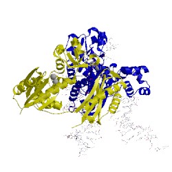 Image of CATH 4q45