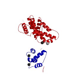 Image of CATH 4q57