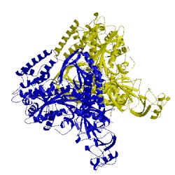 Image of CATH 4q5v