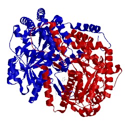 Image of CATH 4q6r