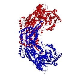 Image of CATH 4q72