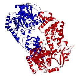 Image of CATH 4q84