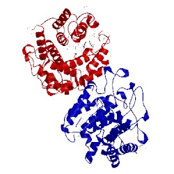 Image of CATH 4q88