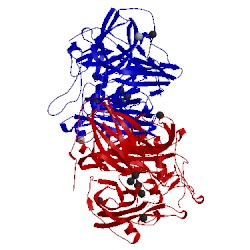 Image of CATH 4q8b