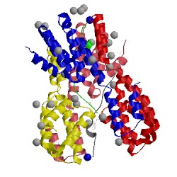 Image of CATH 4q96