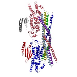 Image of CATH 4q9u