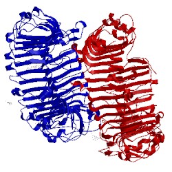 Image of CATH 4qc0
