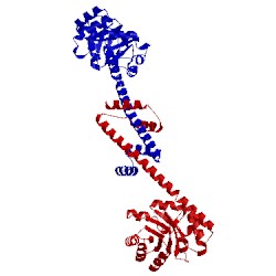 Image of CATH 4qcc