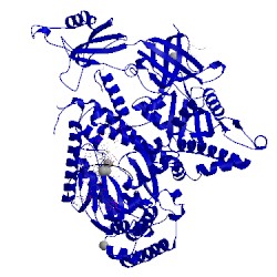 Image of CATH 4qcl